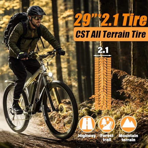 29” Electric Bike with 48V 17.5AH Battery S7698
