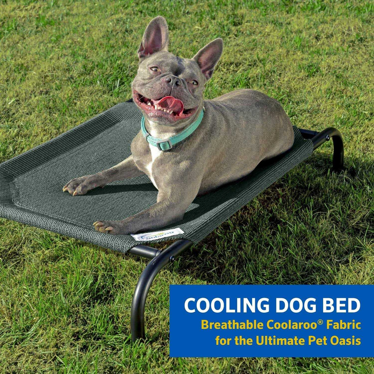 Elevated Pet Bed M572