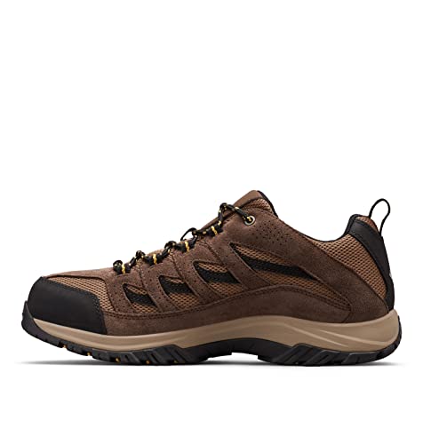 Men's Hiking Shoe M604