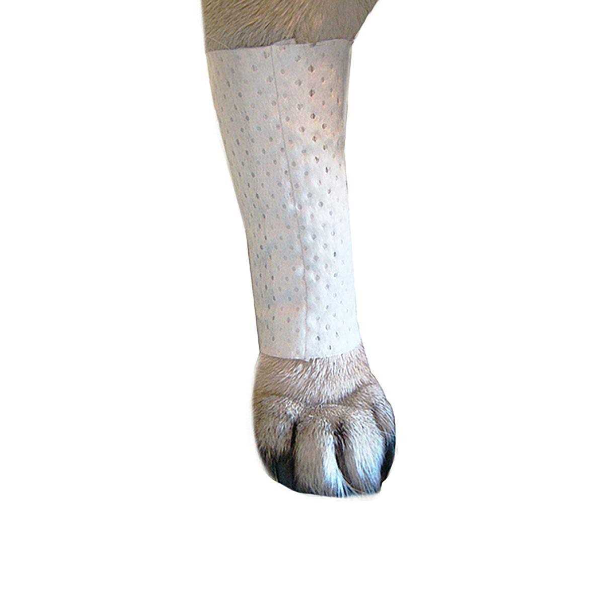 Protective Covers for Pets A348