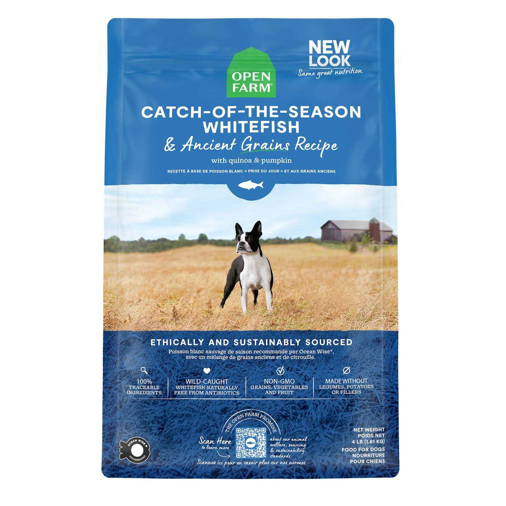 Chicken Ancient Grains Dry Dog Food J9656