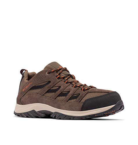 Men's Hiking Shoe M604