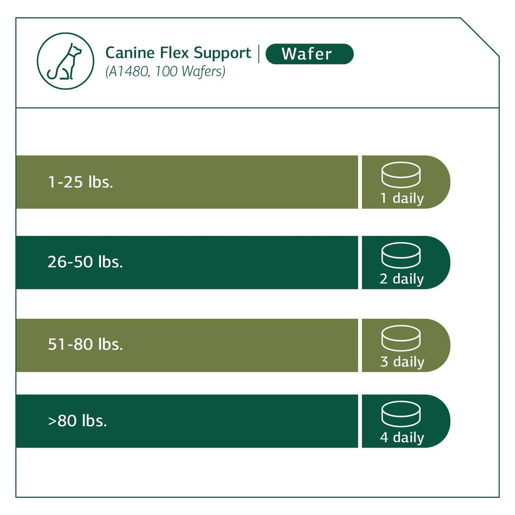 Canine Flex Support Z840226
