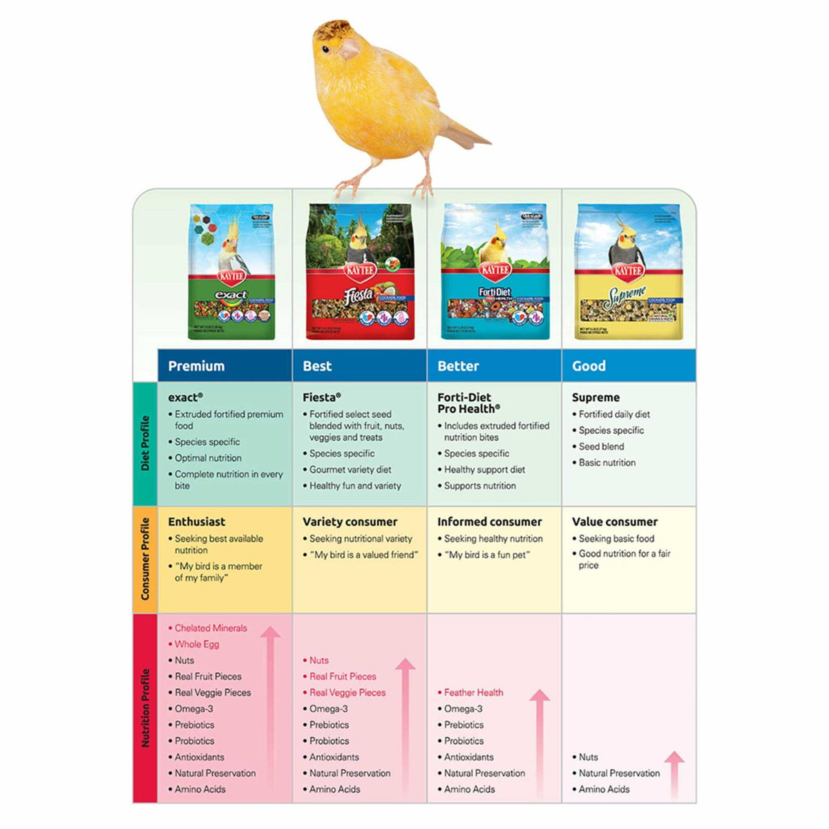 Parrot Food M85079