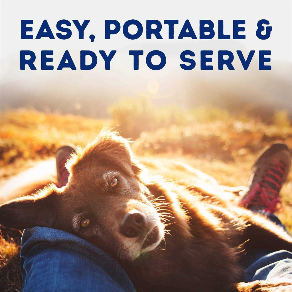 Natural Balance Platefulls Savory Duck & Pumpkin Recipe Wet Dog Food H2638