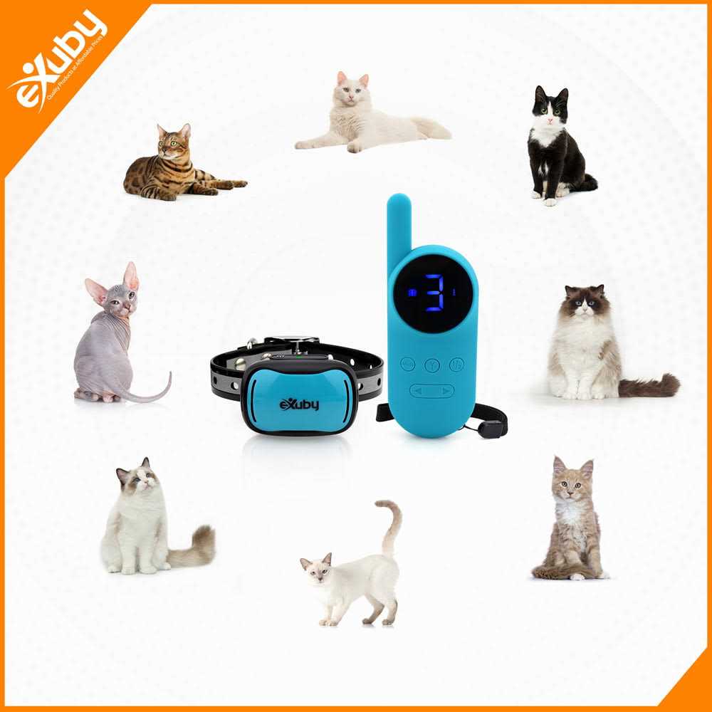 Small Cat Shock Collar with Remote N239569