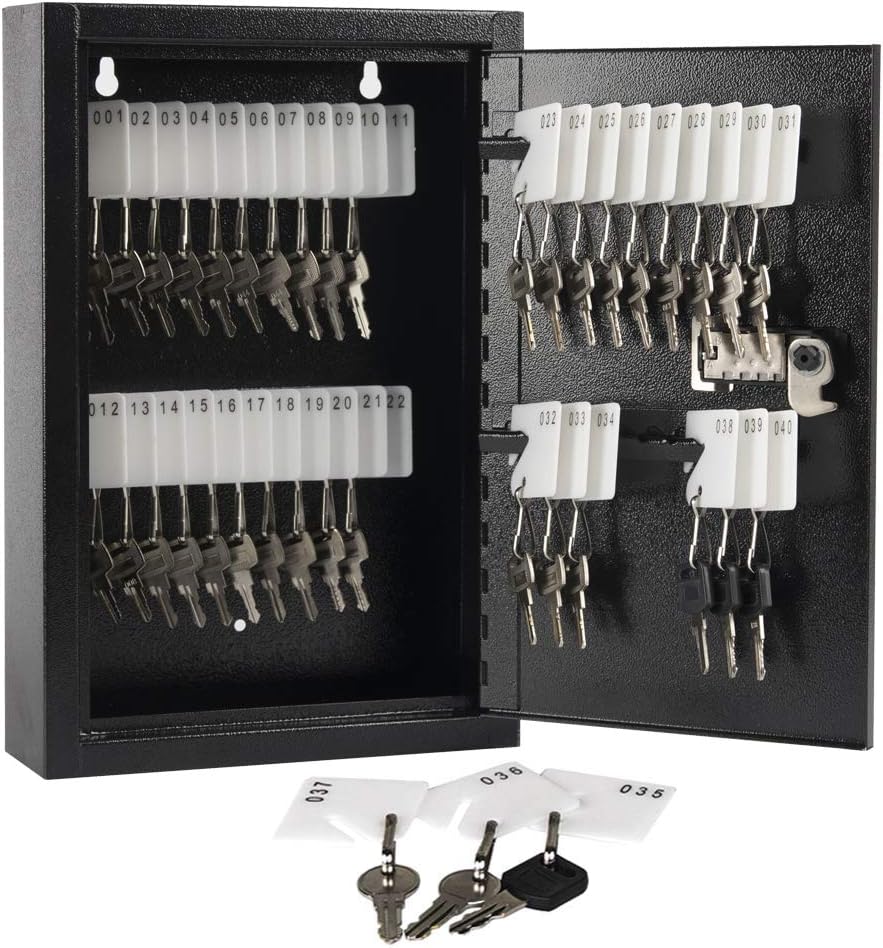 100 Keys Black Key Cabinet Organizer V6895