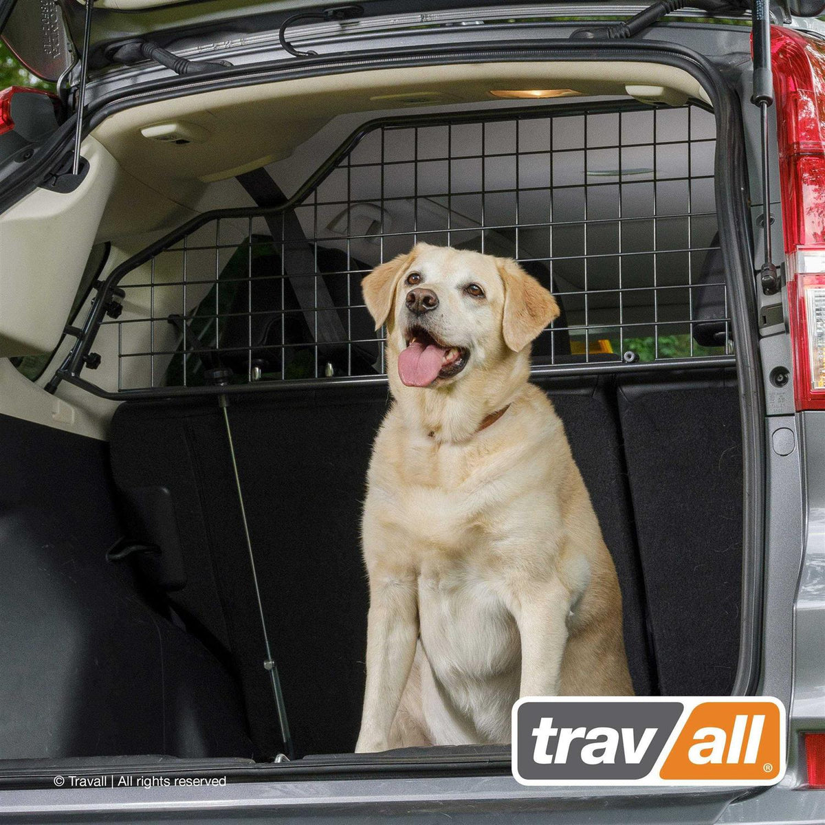 Pet/Cargo Barrier O29090