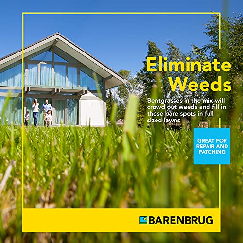 25 LB Bag Bermudagrass Grass Seed F507722