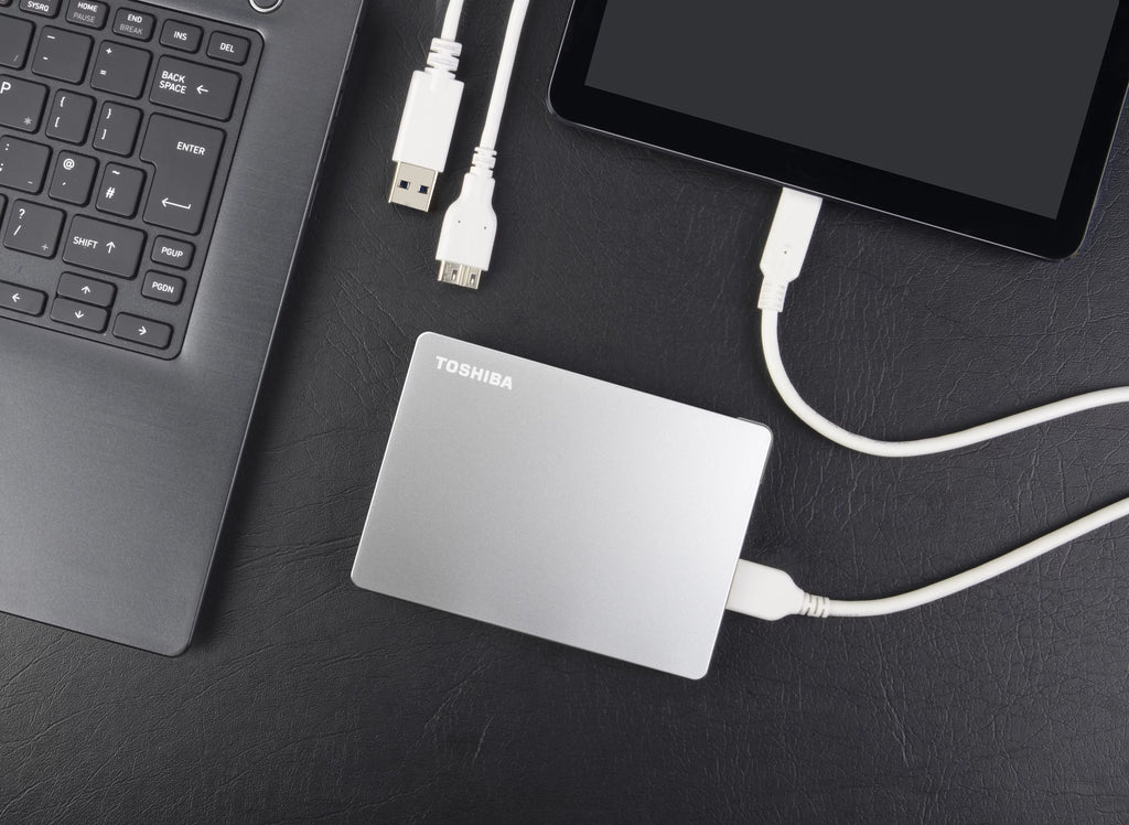 Portable External Hard Drive 4TB Silver Z621
