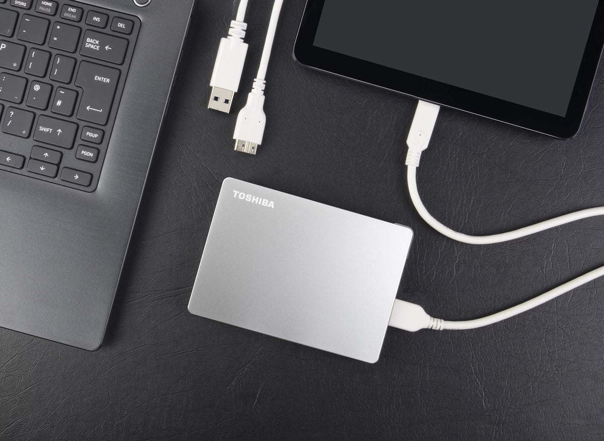 Portable External Hard Drive 4TB Silver Z621
