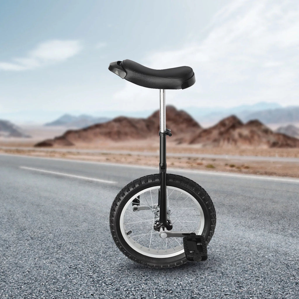 16 Wheel Adjustable Unicycle N4891