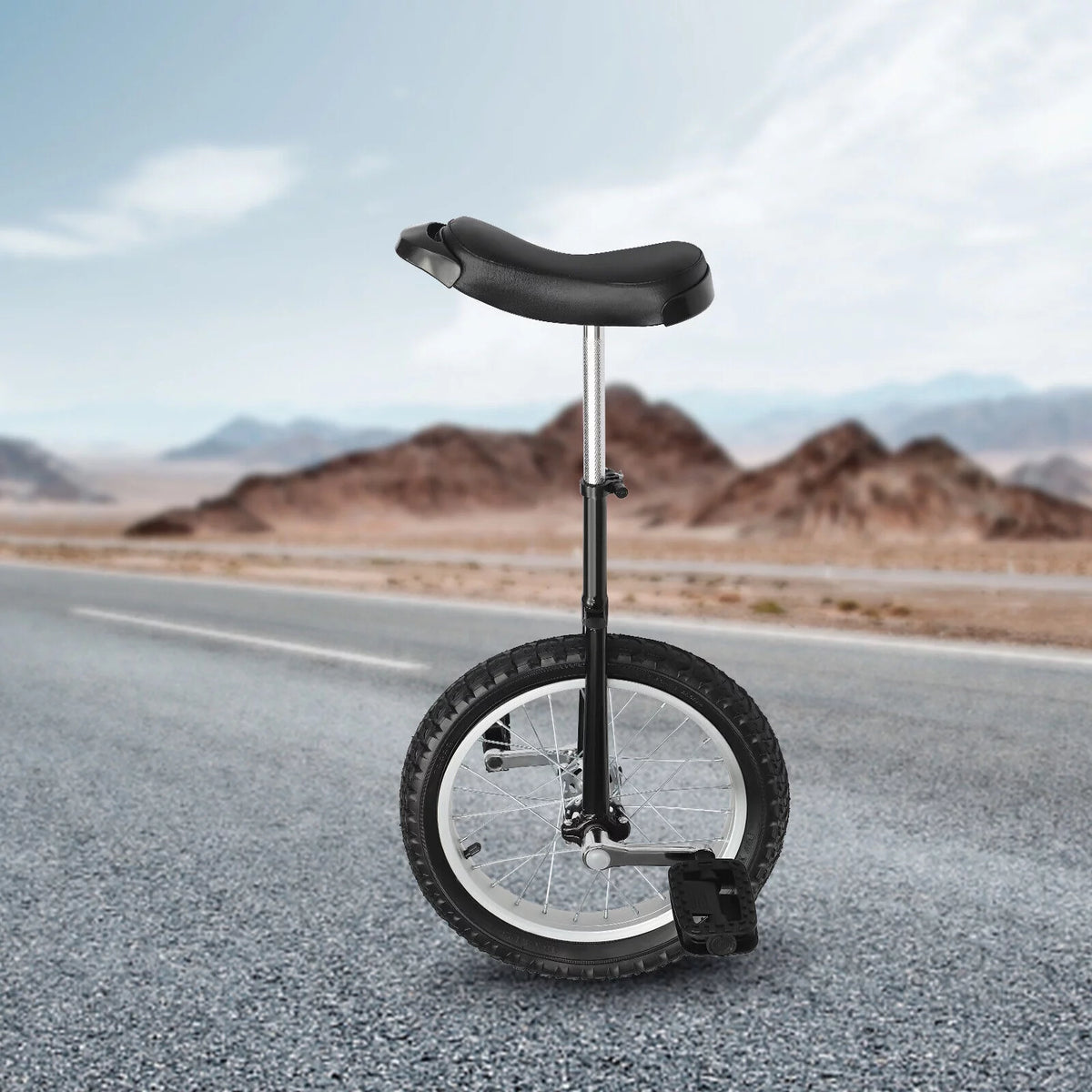 16 Wheel Adjustable Unicycle N4891