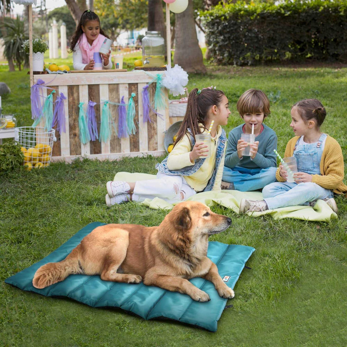 Portable Waterproof Roll Up Dog Mat Bed O670820