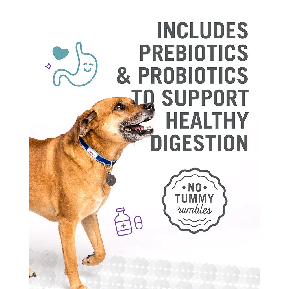 Grain-Free Lamb & Bison Dry Dog Food 11 Lb R4898