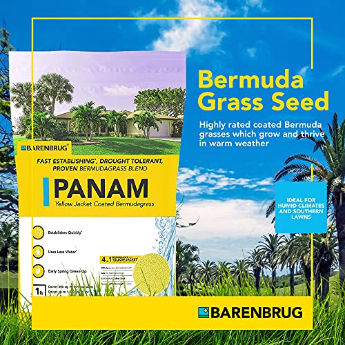 25 LB Bag Bermudagrass Grass Seed F507722