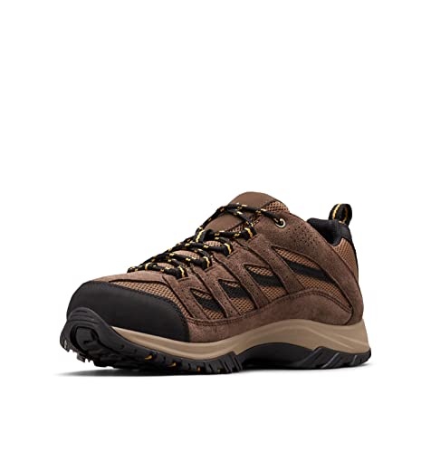 Men's Hiking Shoe M604