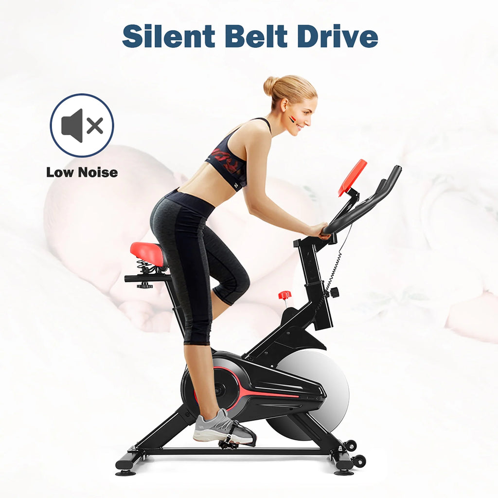 Indoor Exercise Bike D274