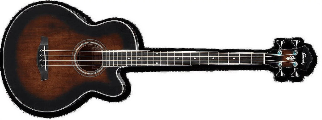 Acoustic Electric Bass Guitar D18394