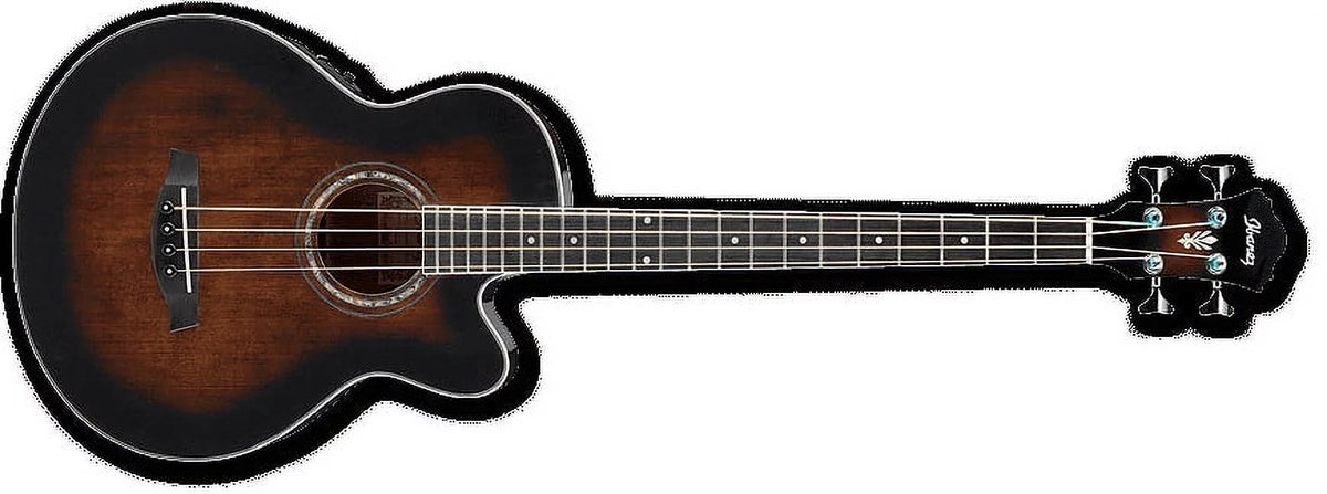 Acoustic Electric Bass Guitar D18394