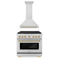 36 In. Gas Range and Range Hood in Stainless Steel F813