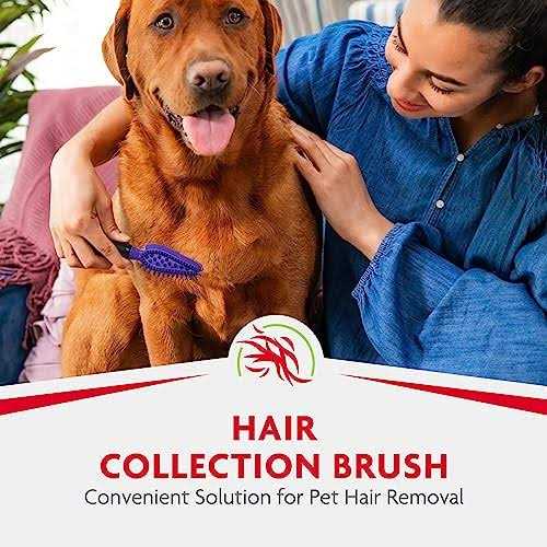 Hair Collection Brush Y3538