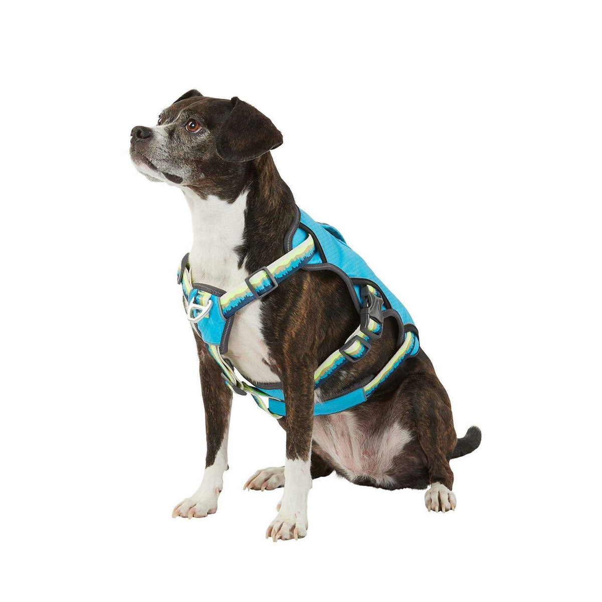LED Dog Harness W806978