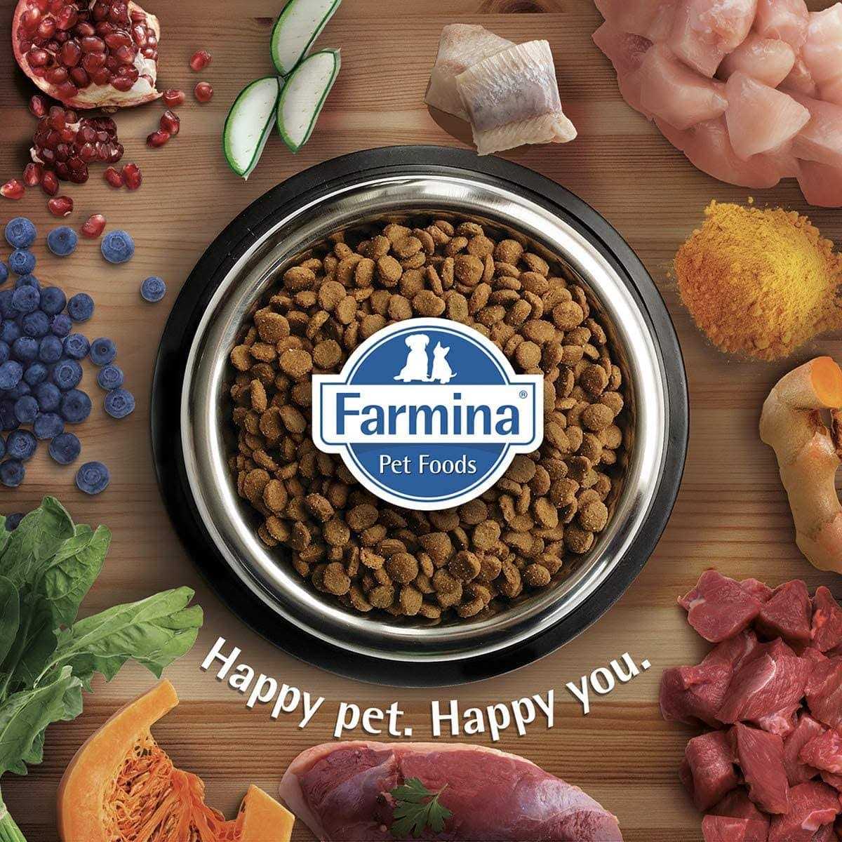 Adult Feline Pet Supplies C91790