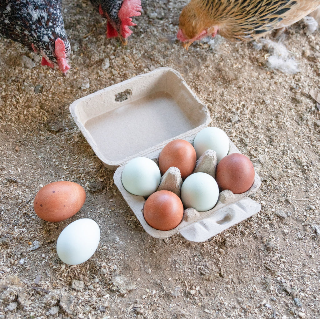 Half Dozen Egg Cartons 30-Pack 2x3 Biodegradable Recycled Pulp N492