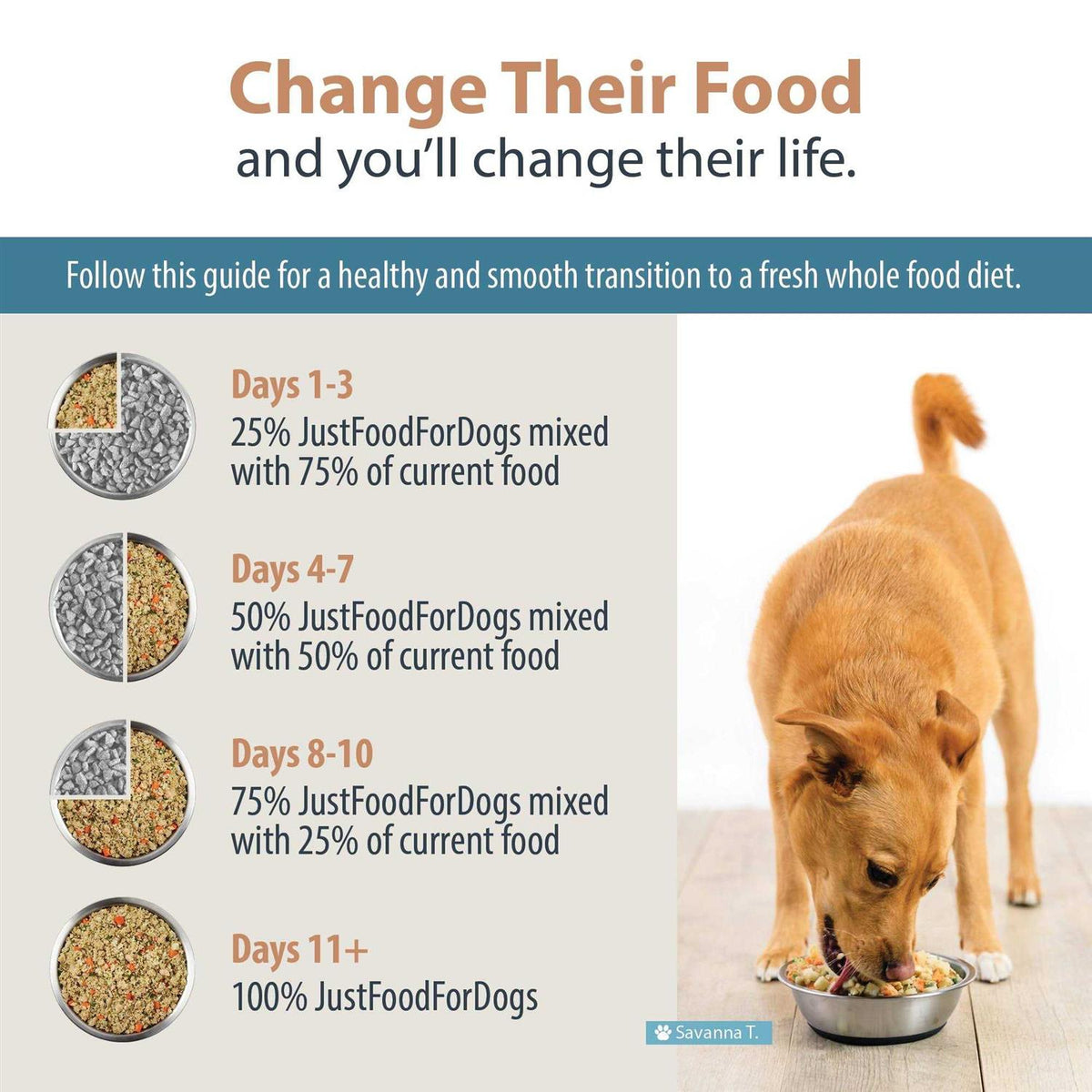 Frozen Dog Food A802