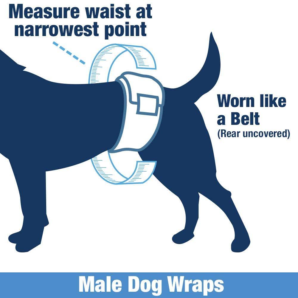 Disposable Male Dog Diapers, 1-Tab Small, 288 Count A2338