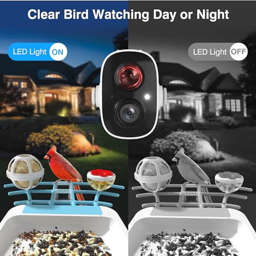 1296P HD AI Identify Smart Bird Feeder Solar Powered with Camera (Blue) U135