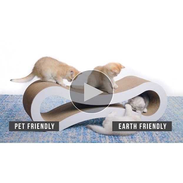 Cat Scratcher Lounge V879