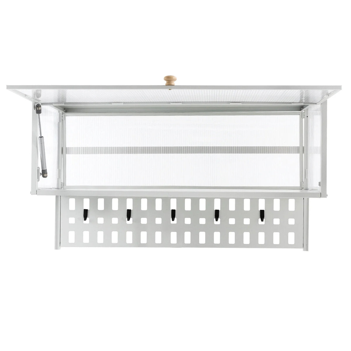 White Wall Mounted Cabinet with 5 Hooks D95253