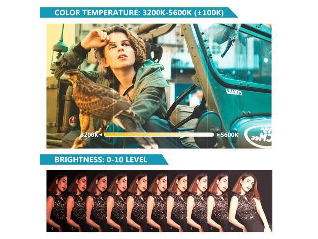 Light Wand Handheld LED Video Light Stick Photography Lighting Kit with Barndoor Remote Control Carry Bag I8465