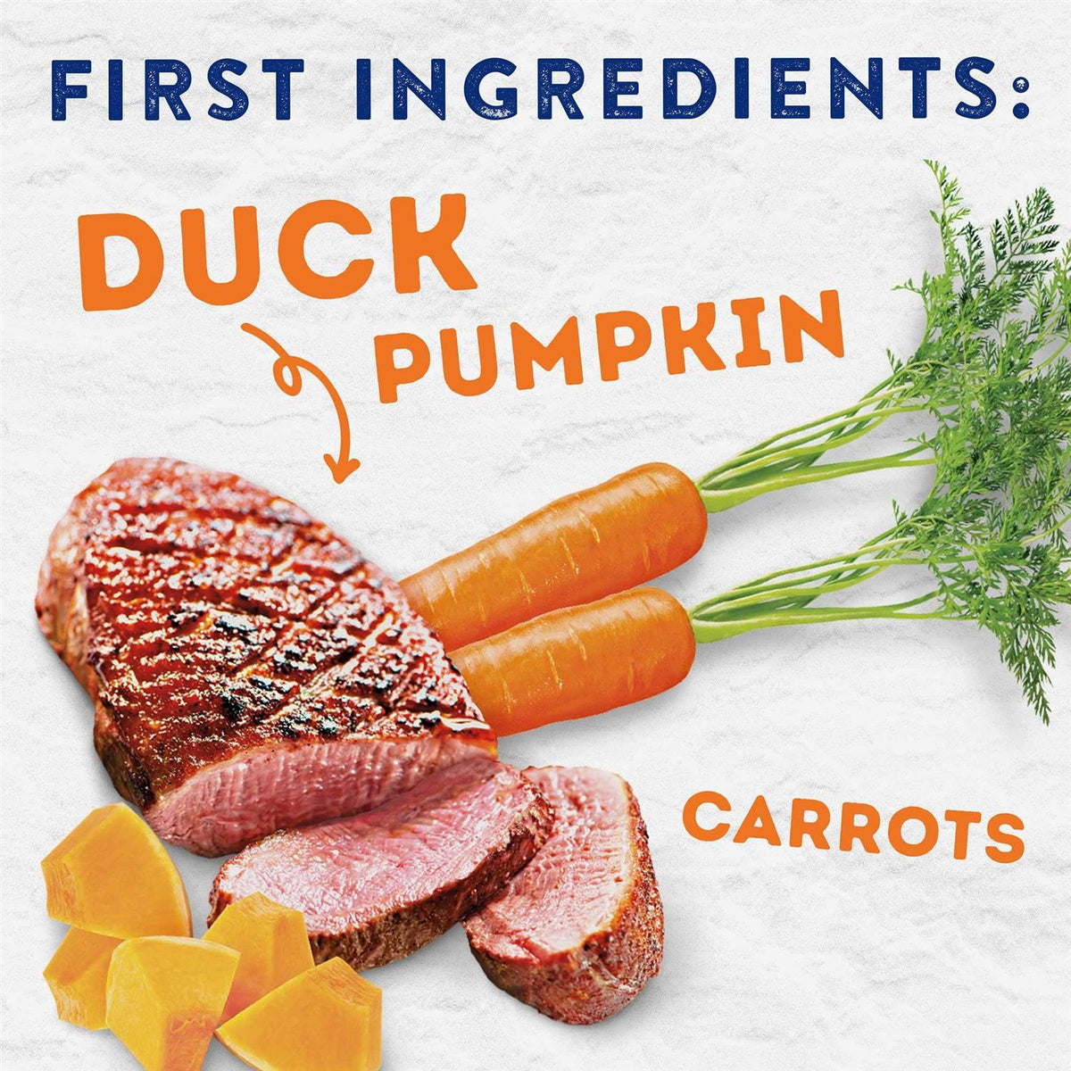 Natural Balance Platefulls Savory Duck & Pumpkin Recipe Wet Dog Food H2638