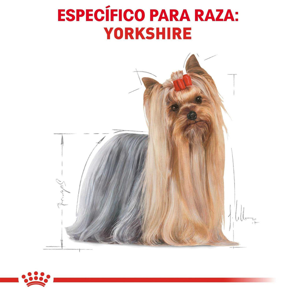 Adult Yorkshire Terrier Dry Dog Food F67244
