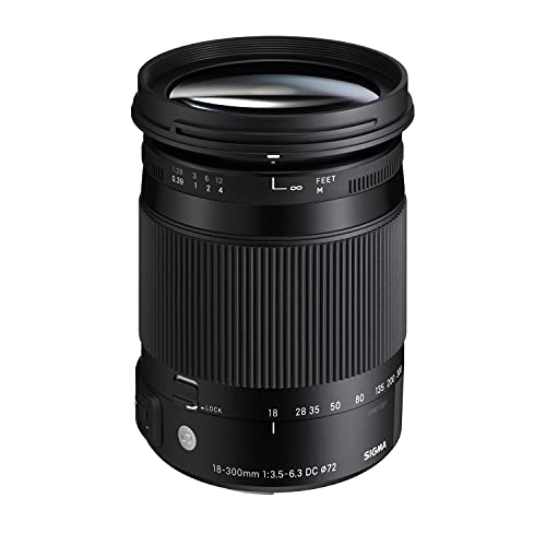 18-300mm F3.5-6.3 Macro OS Lens for Canon D623