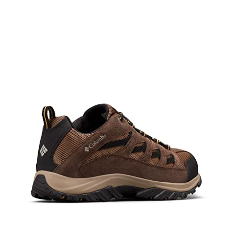 Men's Hiking Shoe M604