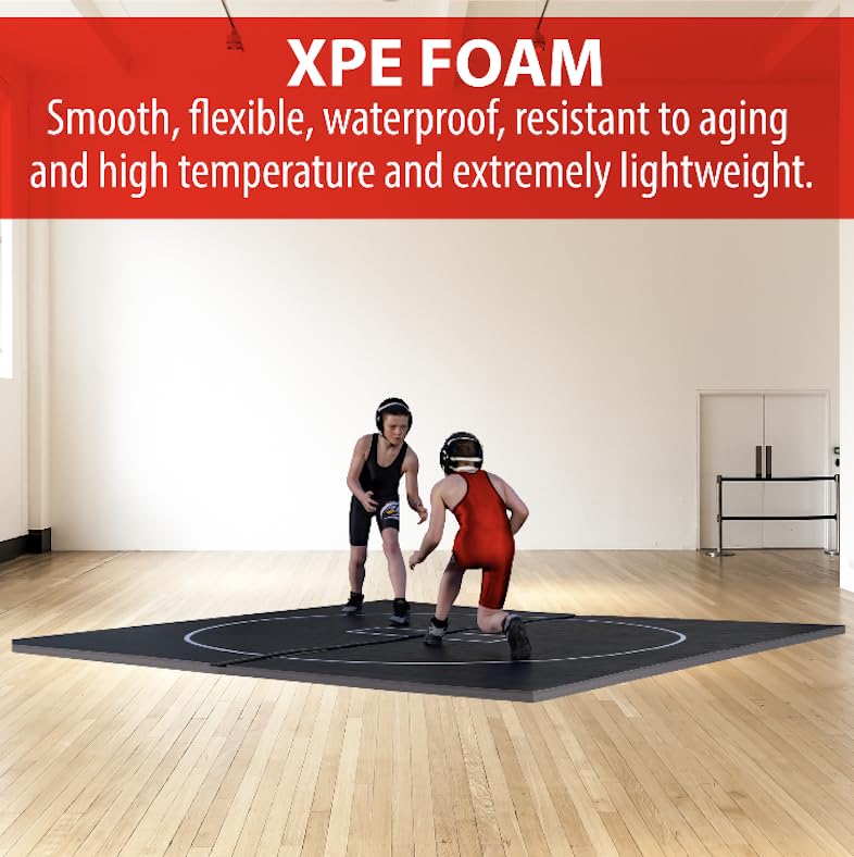 10' x 10' Wrestling Mat U92896