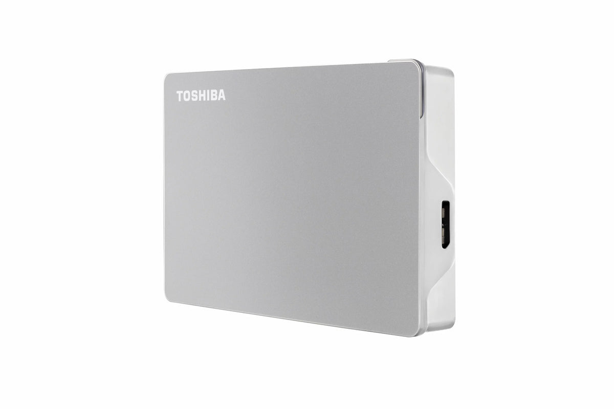 Portable External Hard Drive 4TB Silver Z621