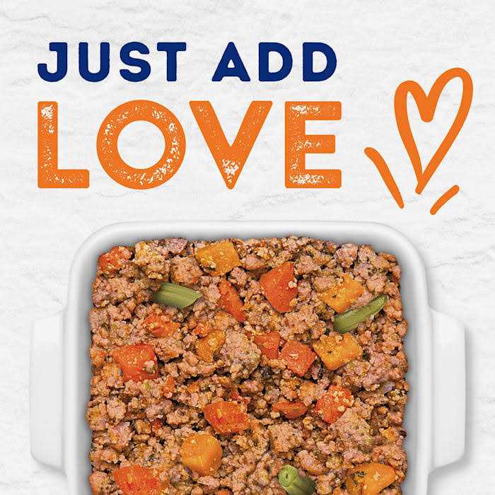 Natural Balance Platefulls Savory Duck & Pumpkin Recipe Wet Dog Food H2638