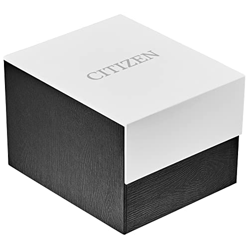 Stainless Steel Quartz Watch T313