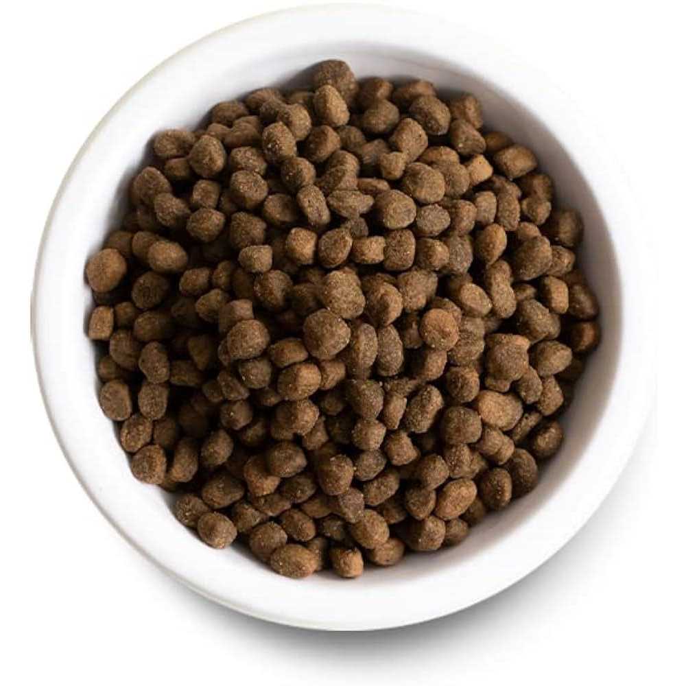 Chicken Ancient Grains Dry Dog Food J9656