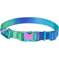 Ombre Style Dog Collar F794029