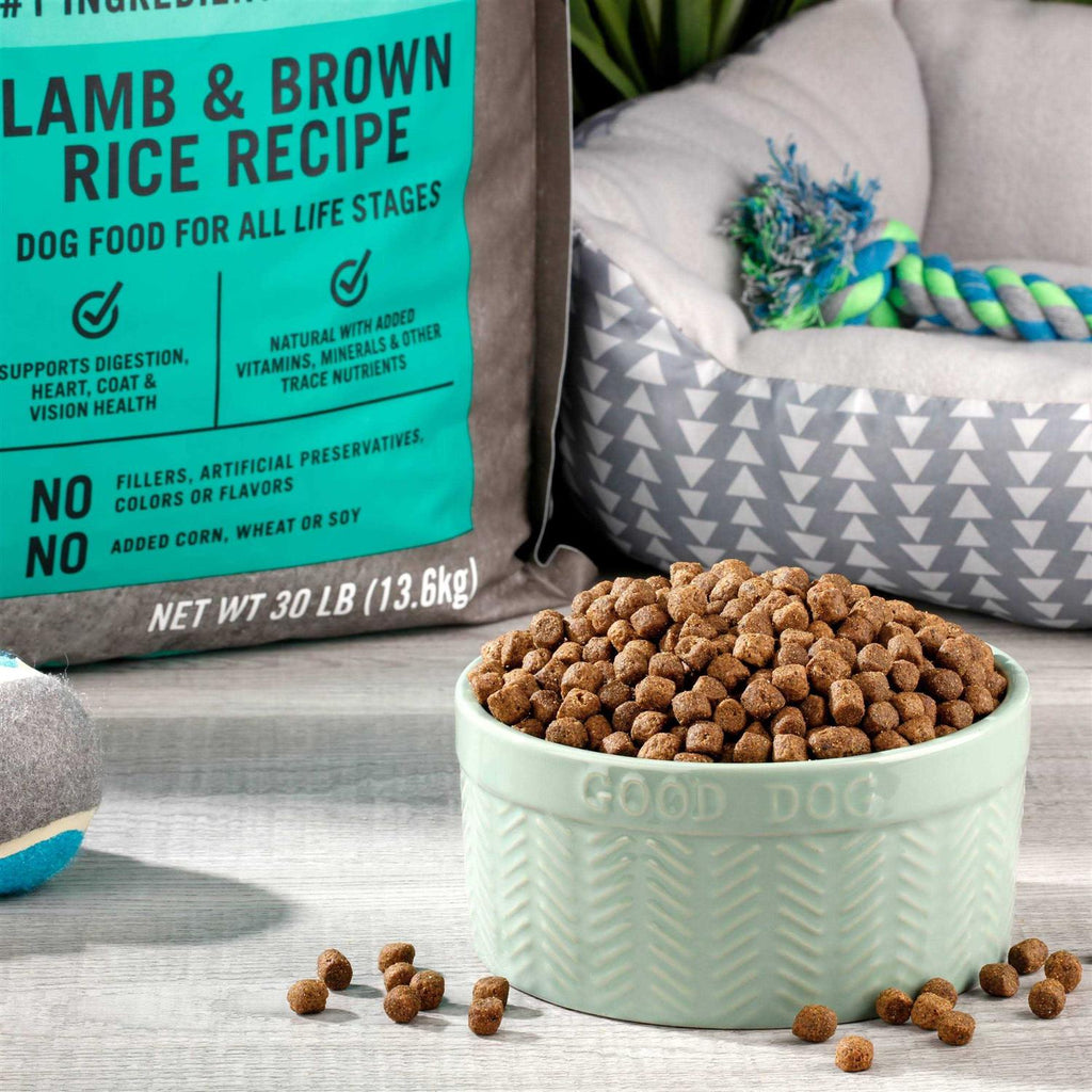 Lamb & Brown Rice Recipe Dry Dog Food E123