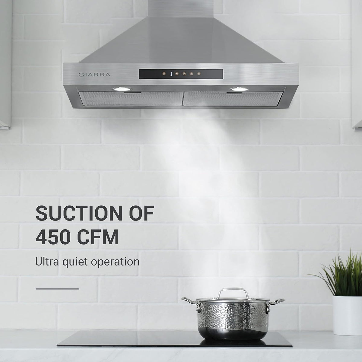 30 inch 450 CFM Stainless Steel Vent Hood Z849