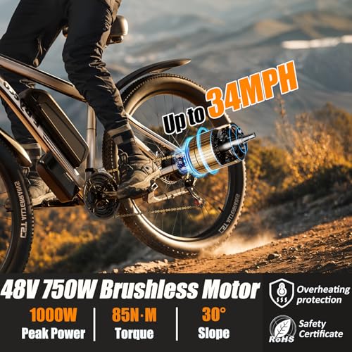 29” Electric Bike with 48V 17.5AH Battery S7698
