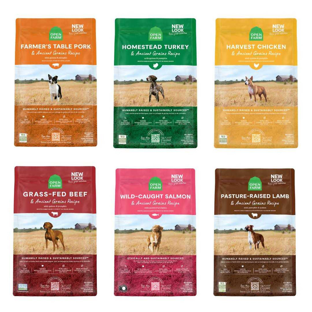 Chicken Ancient Grains Dry Dog Food J9656