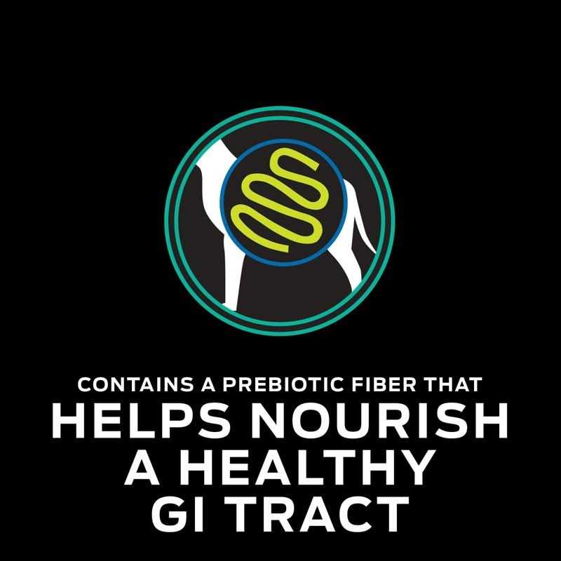 Gastroenteric Formula Dry Dog Food Q447